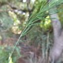 Img.VTax3596.Ex1.Img3