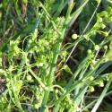 Img.VTax3596.Ex1.Img6