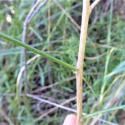 Img.VTax3596.Ex1.Img7