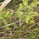 Img.VTax3596.Ex1.Img8