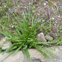 Img.VTax3604.Ex1.Img3