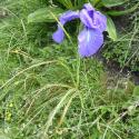 Img.VTax3619.Ex1.Img1