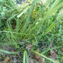 Img.VTax3622.Ex1.Img6