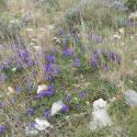 Img.VTax3627.Ex1.Img3