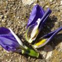 Img.VTax3628.Ex1.Img3