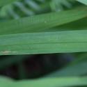 Img.VTax3645.Ex1.Img3