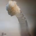 Img.VTax3646.Ex2.Img1