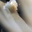 Img.VTax3646.Ex2.Img3