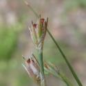 Img.VTax3653.Ex1.Img3