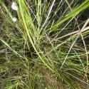 Img.VTax3658.Ex1.Img2