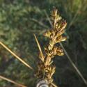Img.VTax3658.Ex1.Img3