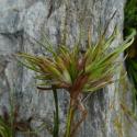 Img.VTax3667.Ex1.Img4