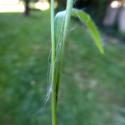 Img.VTax3687.Ex1.Img4