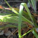 Img.VTax3687.Ex2.Img5