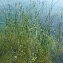 Img.VTax3707.Ex1.Img2