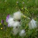 Img.VTax3708.Ex1.Img3