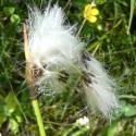 Img.VTax3708.Ex1.Img5