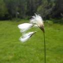 Img.VTax3708.Ex2.Img1