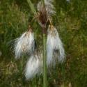 Img.VTax3708.Ex2.Img3