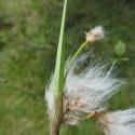 Img.VTax3708.Ex3.Img3