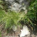 Img.VTax3749.Ex1.Img3