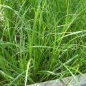 Img.VTax3754.Ex1.Img3