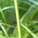 Img.VTax3754.Ex2.Img2