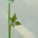 Img.VTax3761.Ex1.Img1