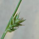 Img.VTax3761.Ex1.Img3