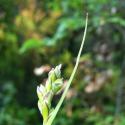 Img.VTax3761.Ex1.Img5