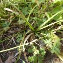 Img.VTax3761.Ex3.Img3