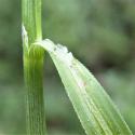 Img.VTax3768.Ex1.Img5