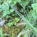 Img.VTax3768.Ex2.Img3
