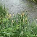 Img.VTax3774.Ex1.Img1