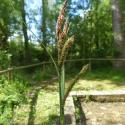 Img.VTax3776.Ex1.Img1