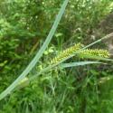 Img.VTax3776.Ex1.Img4