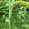Img.VTax3776.Ex1.Img5
