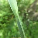 Img.VTax3776.Ex1.Img6