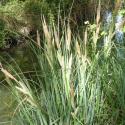 Img.VTax3776.Ex1.Img9