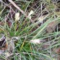Img.VTax3781.Ex2.Img1