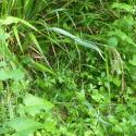 Img.VTax3793.Ex1.Img3
