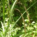 Img.VTax3793.Ex1.Img6