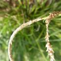 Img.VTax3793.Ex2.Img3