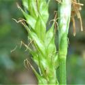 Img.VTax3800.Ex1.Img3
