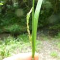 Img.VTax3800.Ex1.Img5