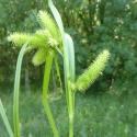 Img.VTax3808.Ex1.Img5