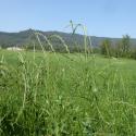 Img.VTax3874.Ex1.Img1