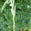 Img.VTax3874.Ex1.Img6