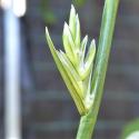 Img.VTax3875.Ex1.Img4
