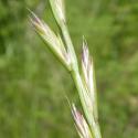 Img.VTax3876.Ex1.Img3